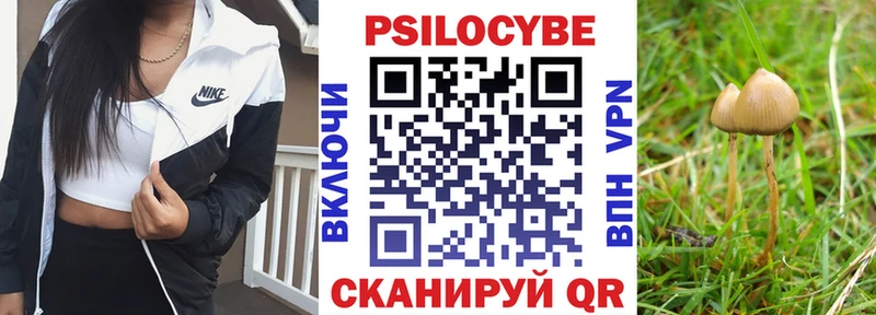 Псилоцибиновые грибы Magic Shrooms  Купить закладки  Камышлов 